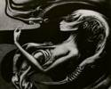 <b>Название: </b>, <b>Добавил:<b> razorbrass<br>Размеры: 425x500, 36.0 Кб