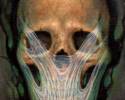 <b>Название: </b>, <b>Добавил:<b> razorbrass<br>Размеры: 453x576, 64.1 Кб