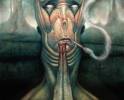 <b>Название: </b>, <b>Добавил:<b> razorbrass<br>Размеры: 526x648, 91.3 Кб