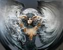 <b>Название: </b>Фотография 1, <b>Добавил:<b> razorbrass<br>Размеры: 800x676, 99.1 Кб